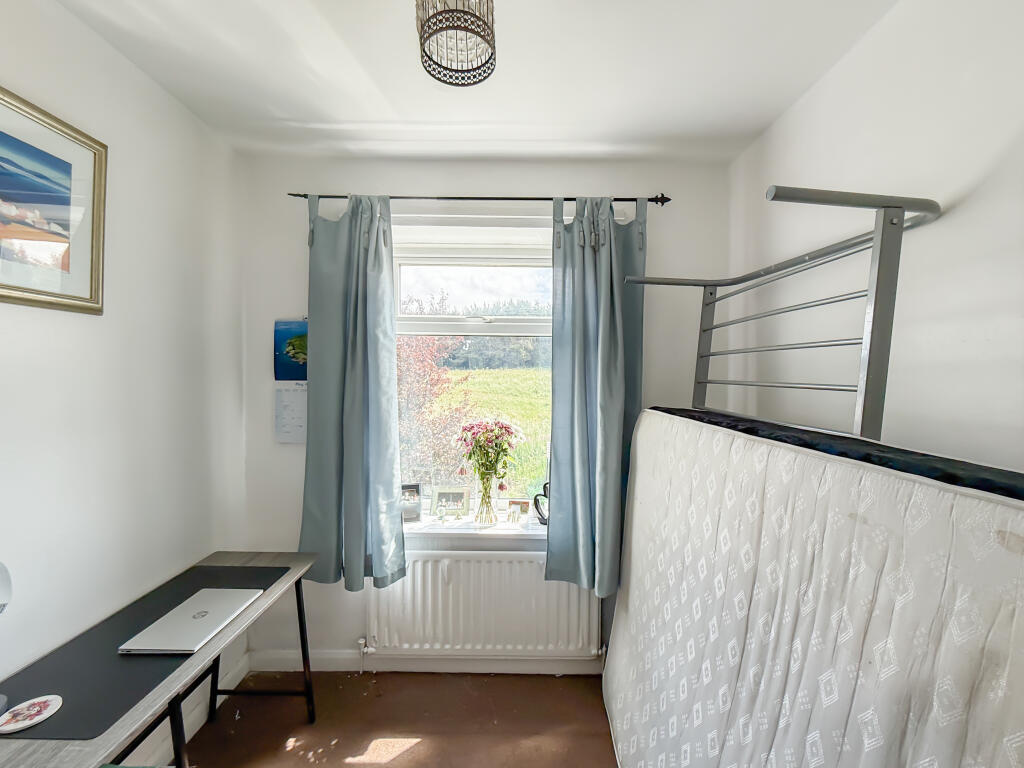 IMG 9961 T202506271037.jpg