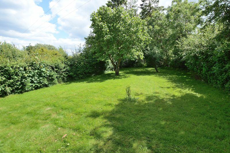 Lawn Area