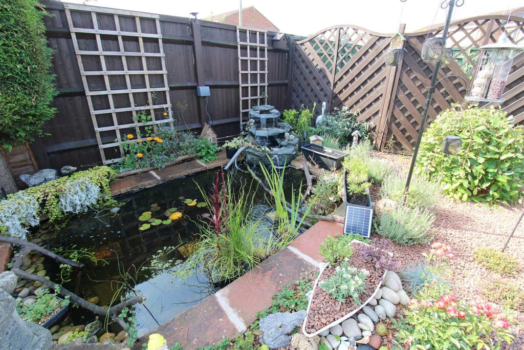 Pond