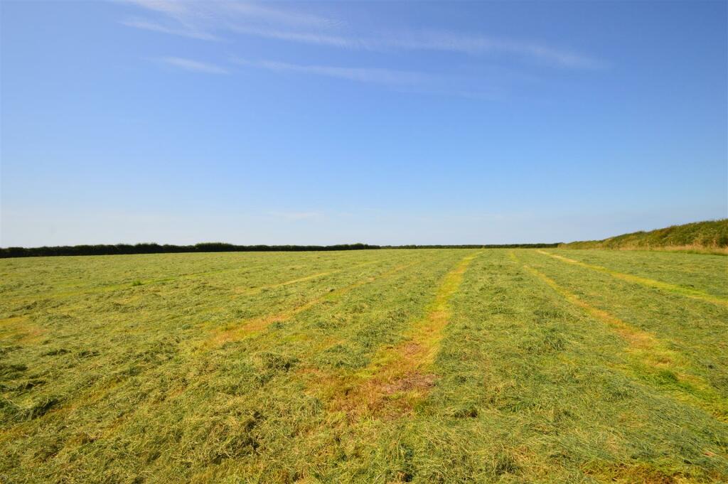 Land