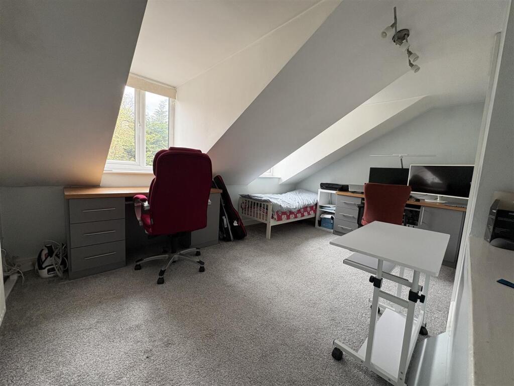 IMG_1114 (Large).jpeg