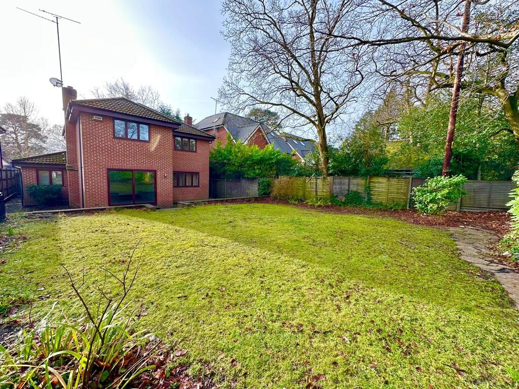 IMG-20250129-WA00...