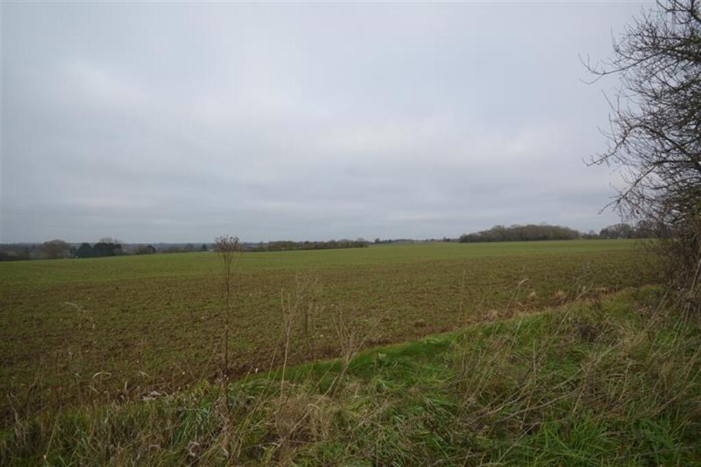 Countryside Views