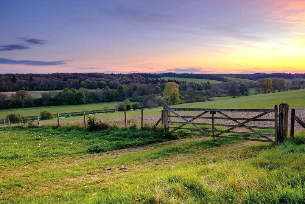 Countryside Views