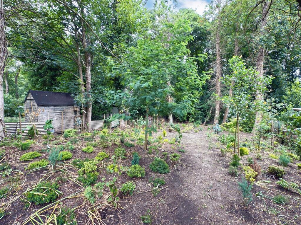 REAR ORCHARD.jpg