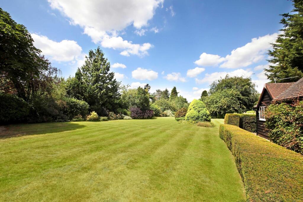 Back garden