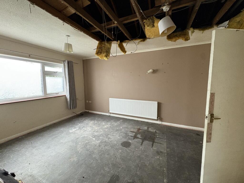 15  Medium  T202601080948.jpg