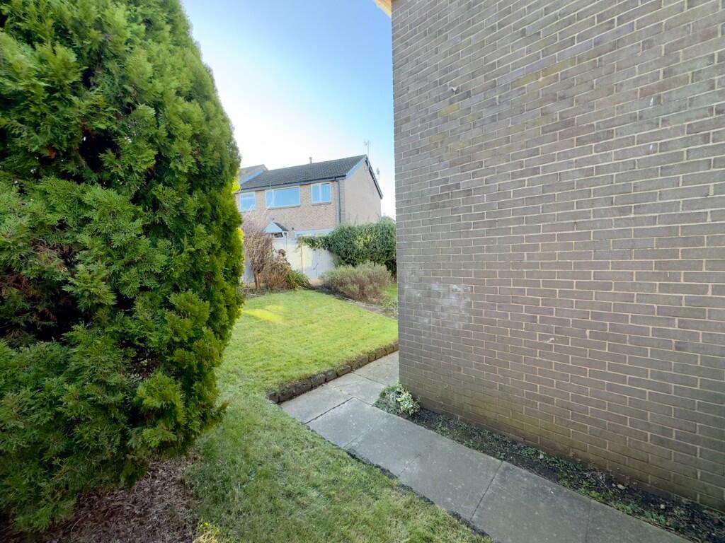 SIDE GARDEN