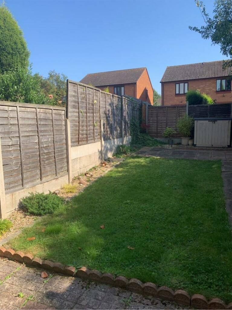 garden.jpeg
