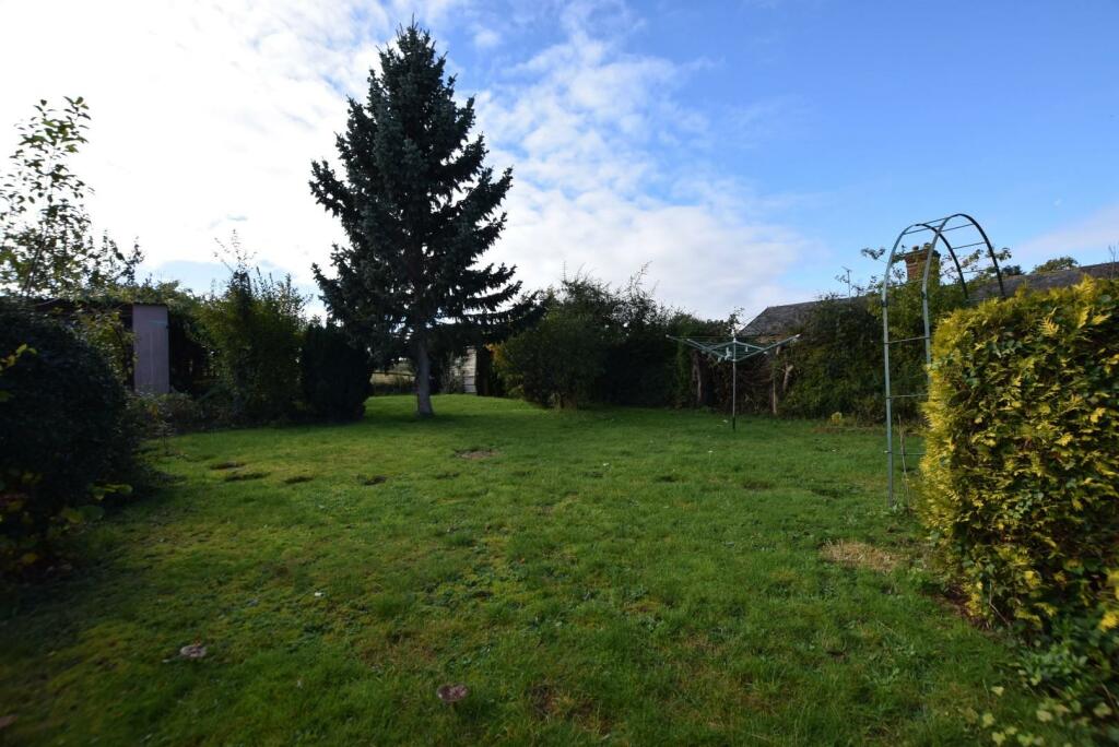 garden .JPG