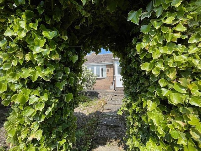 GARDEN 4.jpg