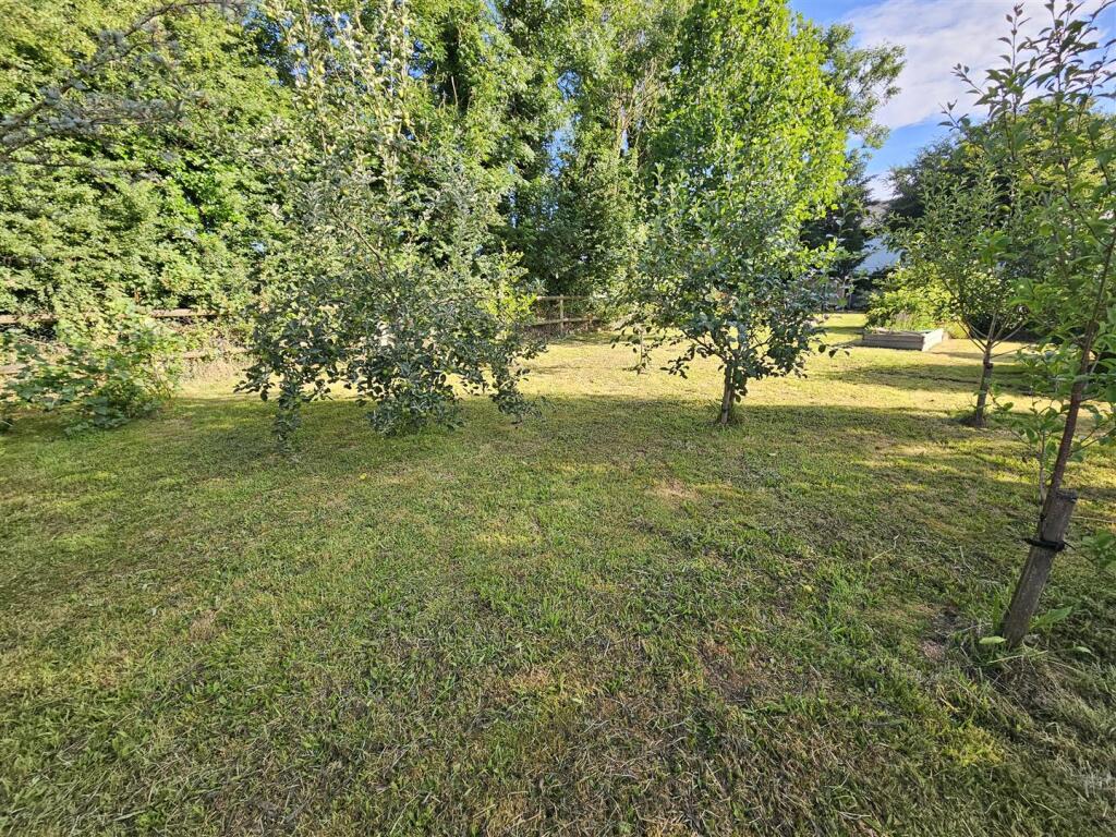 Orchard.jpg