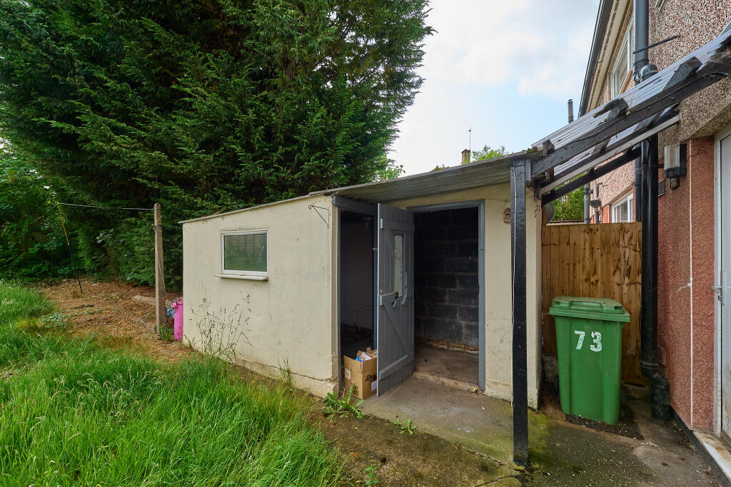 P1463074 T202506031642.jpg