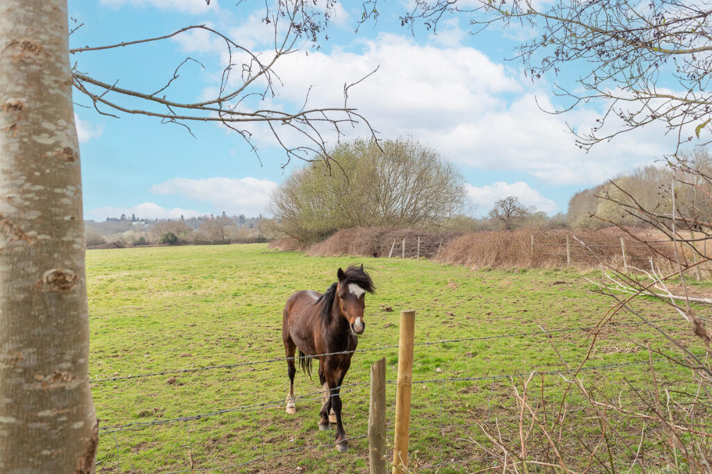 Views to Farm land at rear