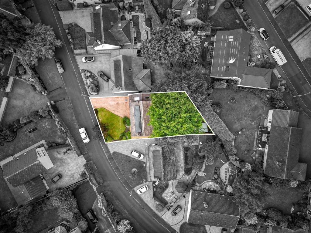 untitled (34 of 1).JPG