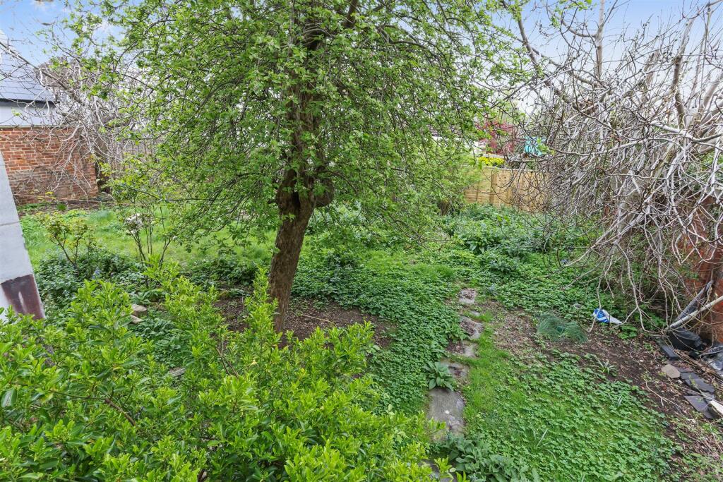 garden 1.jpg