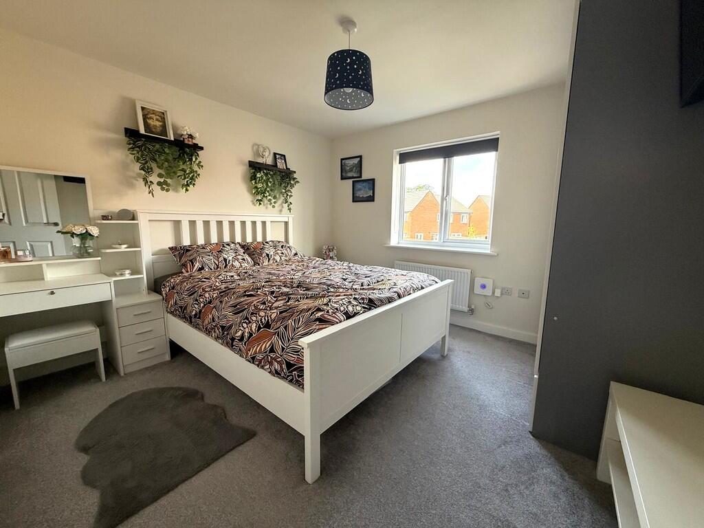 WhatsApp Image 20...