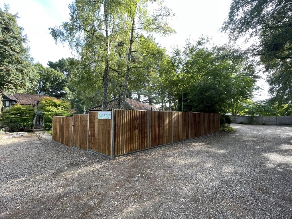 18  Medium  T202510291555.jpg