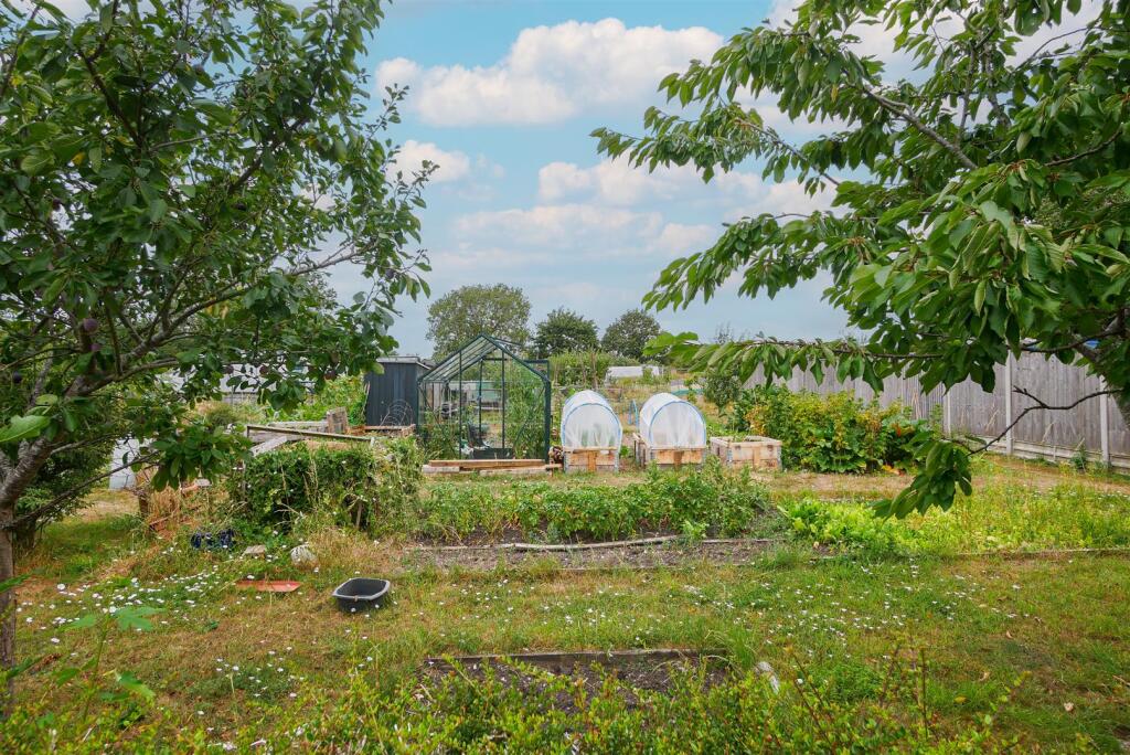 Rear View Of Allotments