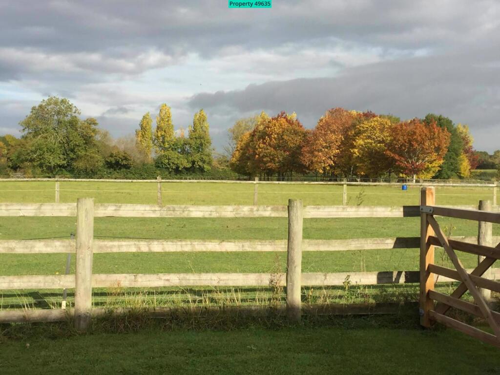 View from garden