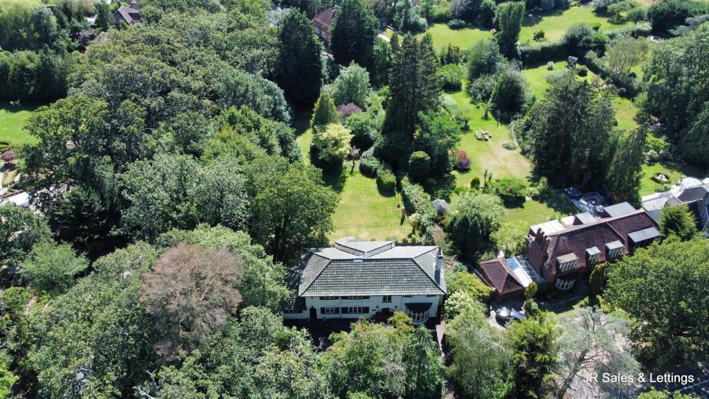 dji_fly_20240813_150412_522_1723557860231_photo_op