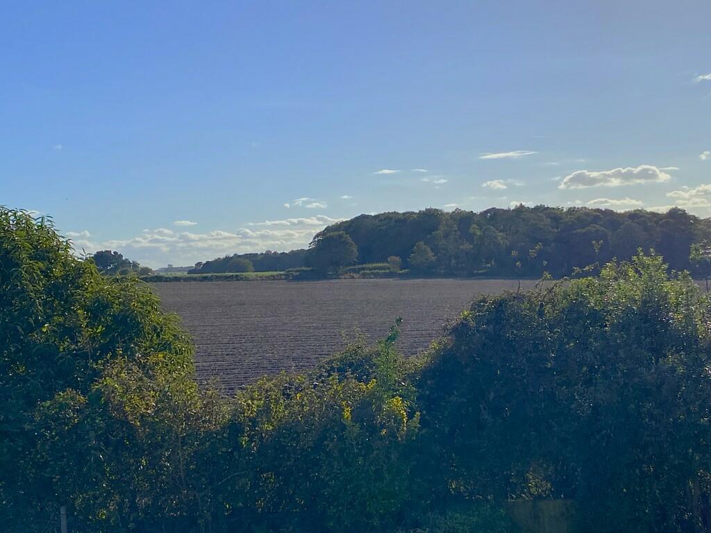 Farmland to the r...