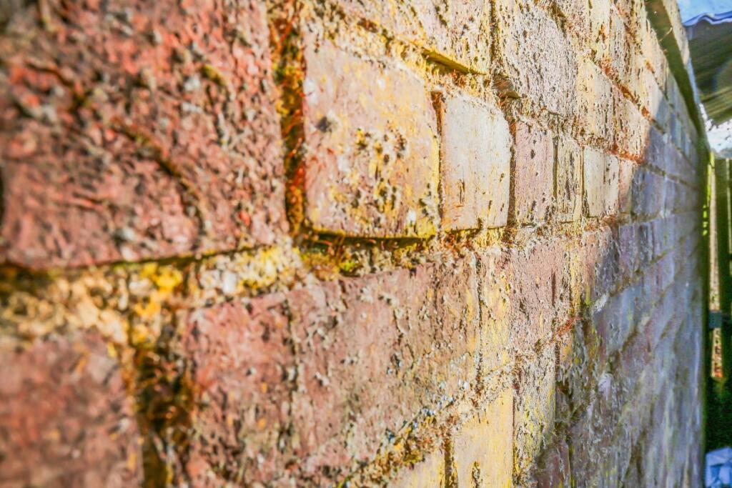 1580295663 -  The Walled Garden KT20 - 34.jpg