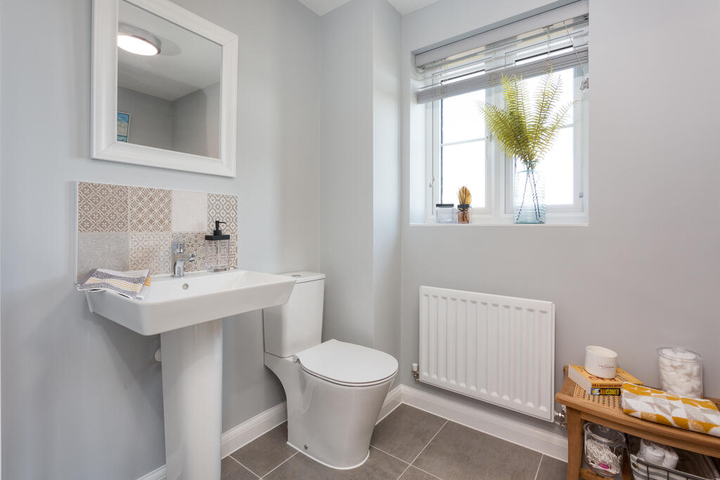 BH NHC MOLNY spruce2_21