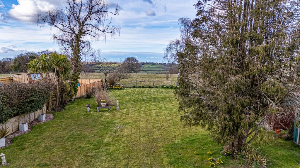 DJI_20250314153452_0158_D_Alto.jpg