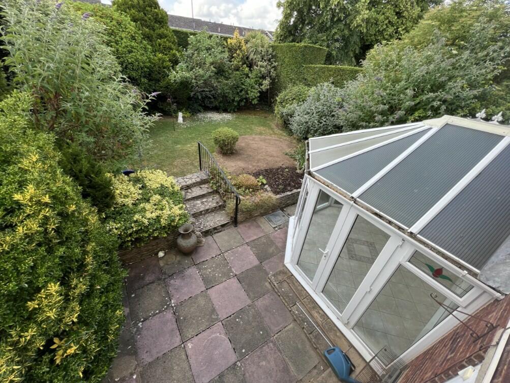 Back garden