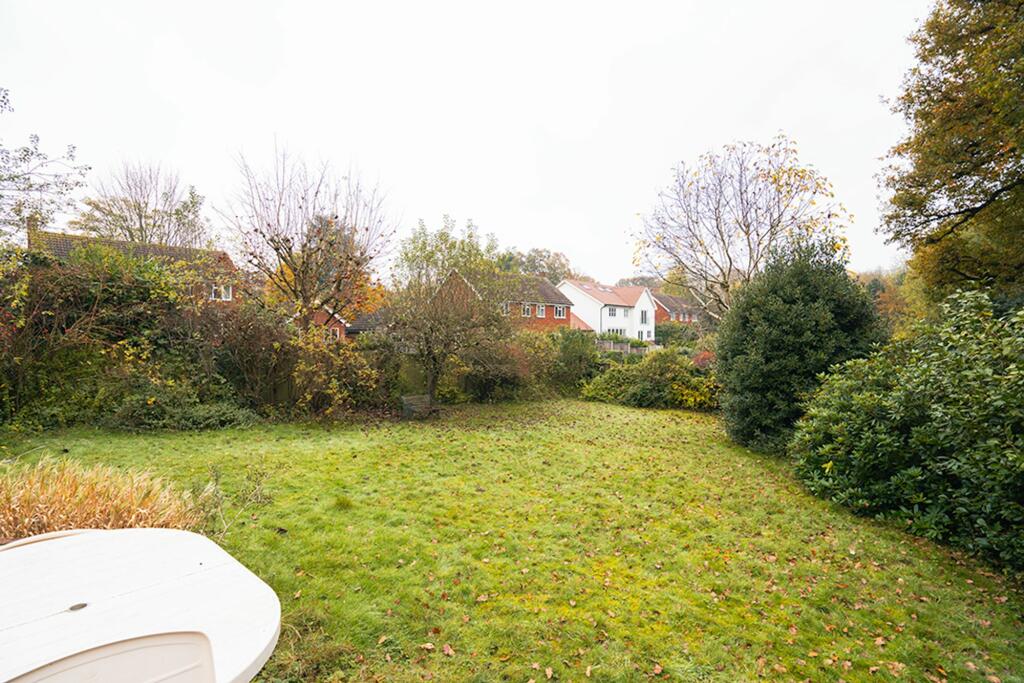 Back Garden