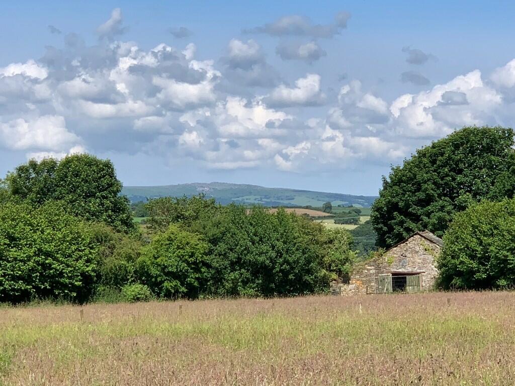 Views from site