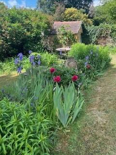top garden.jpg