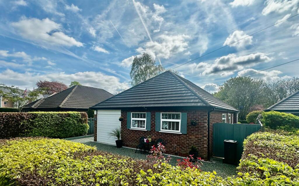 WhatsApp Image 2025-04-25 at 11.34.40.jpeg