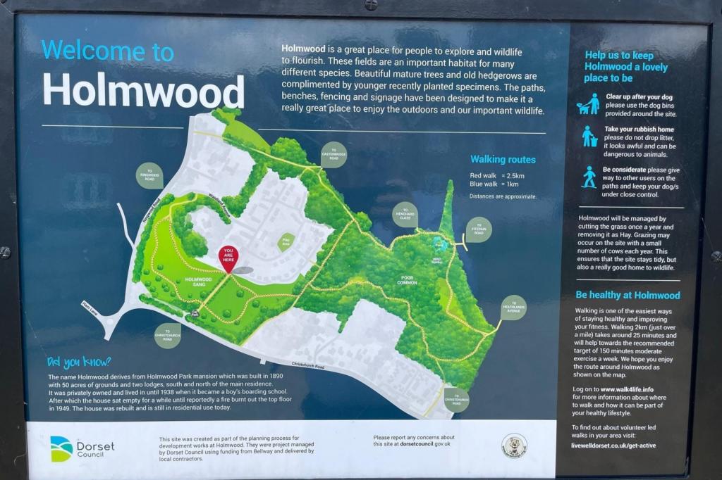 Holmwood Park 