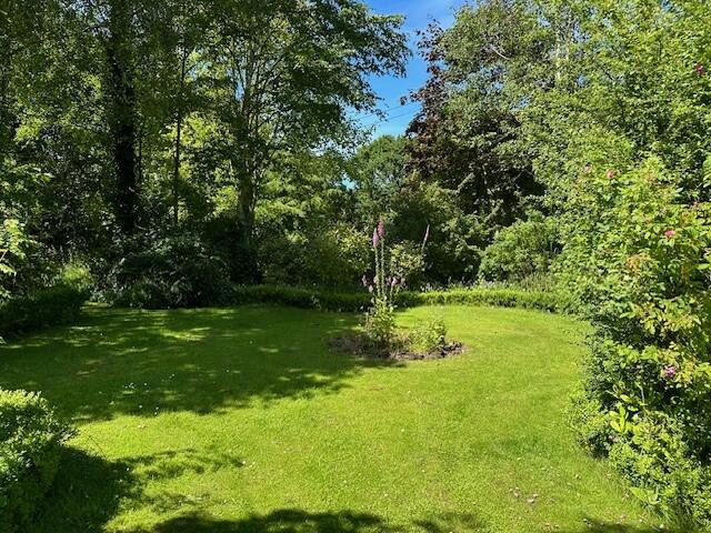 Z15 T202406261148.jpg