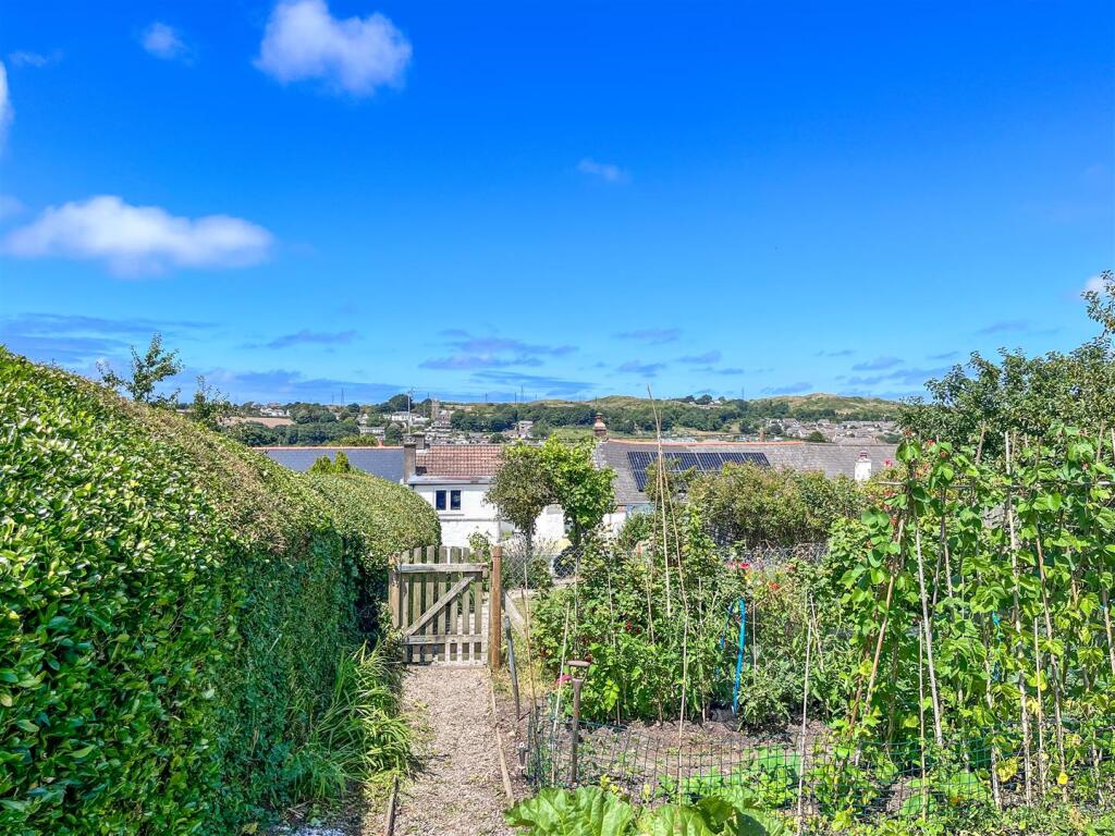 Outlook from Veggie PLot