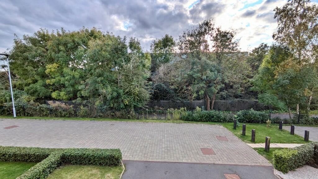 PHOTO-2024-10-10-...