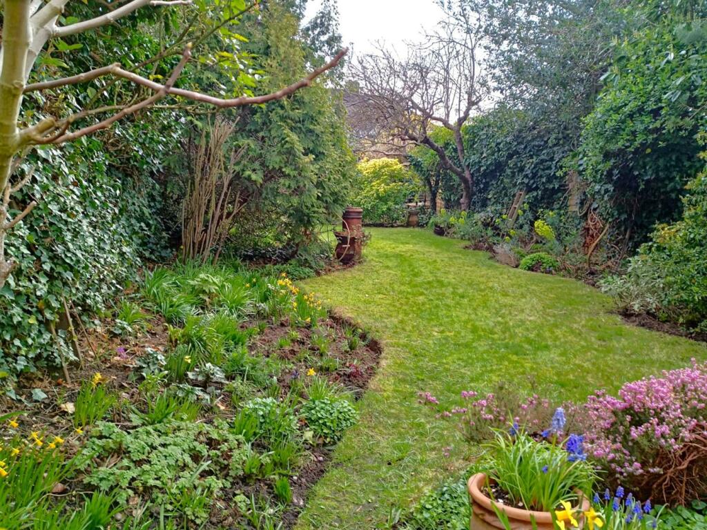 Garden.v2.jpg