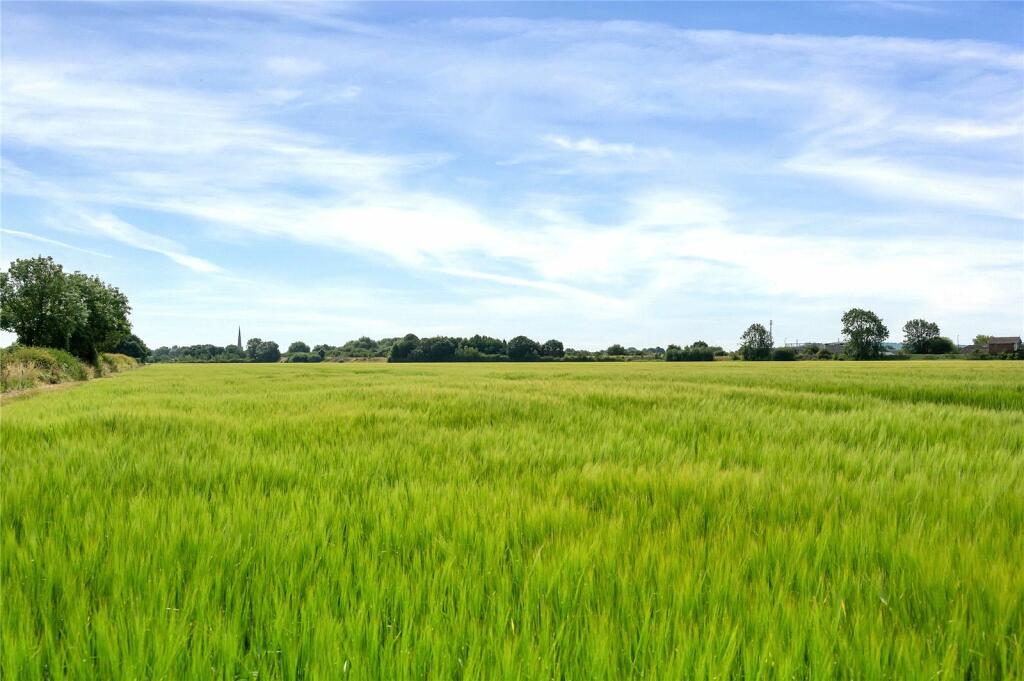 Arable Land