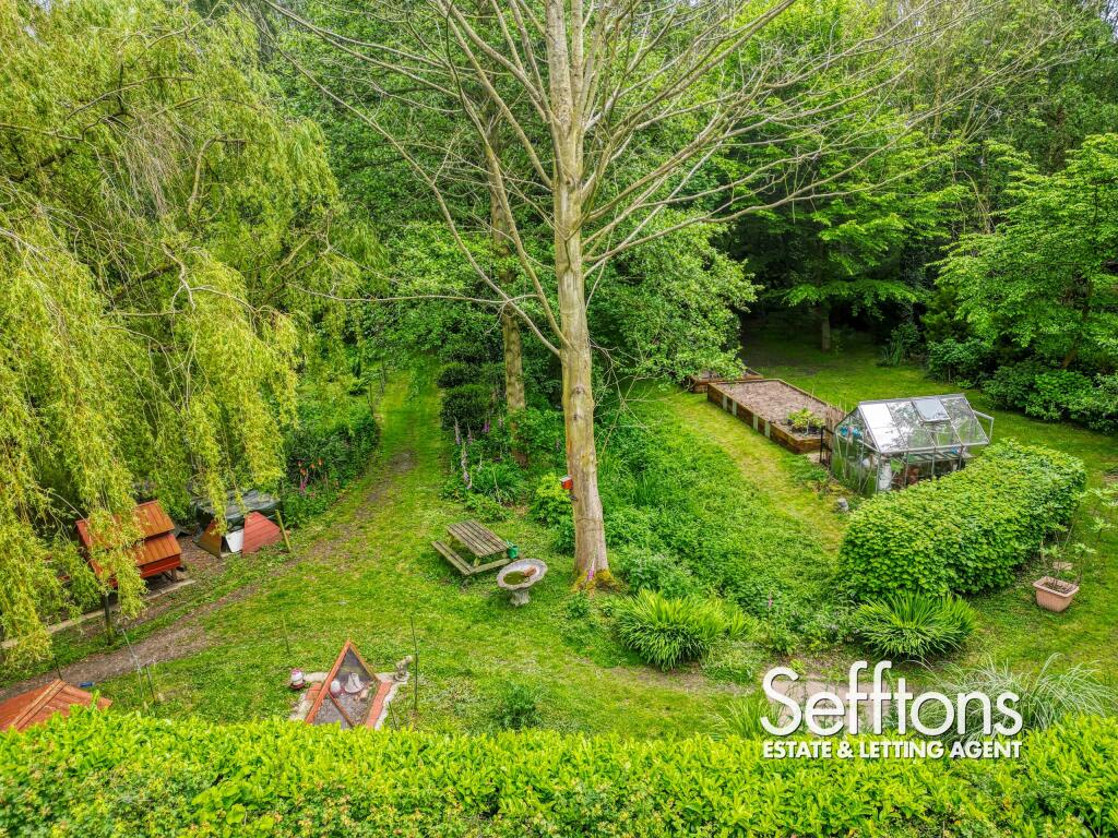DJI_0050_9