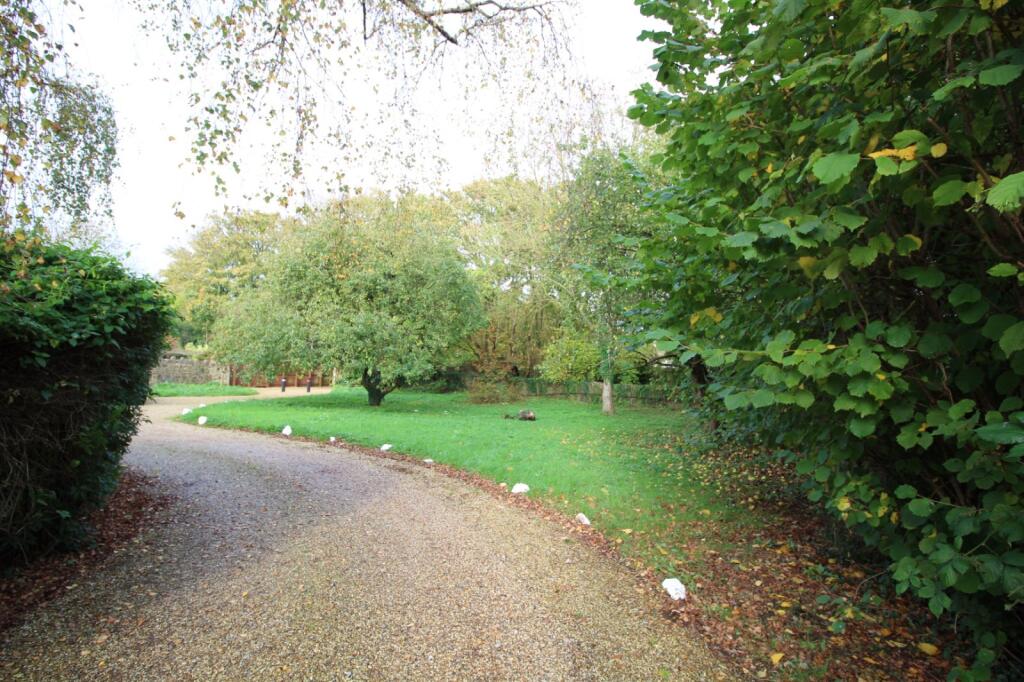 Communal Gardens