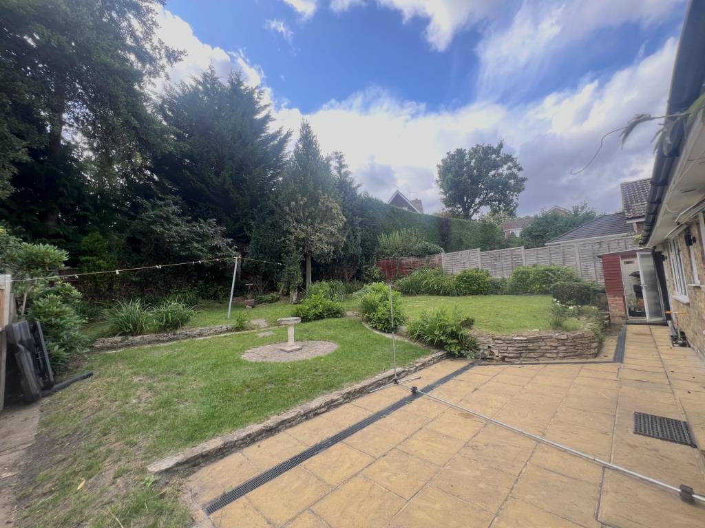 Garden Shot 1