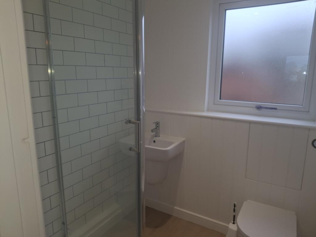 IMAGE 11
