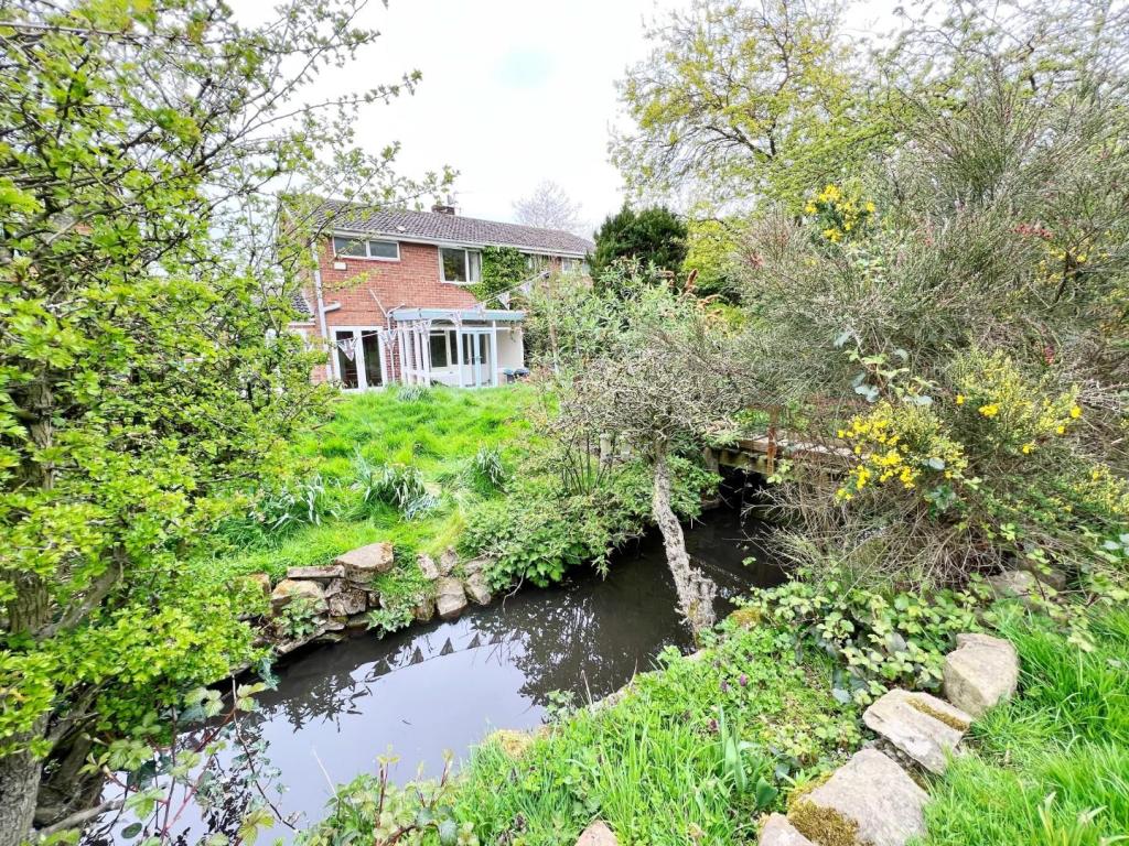 Garden 2.jpg