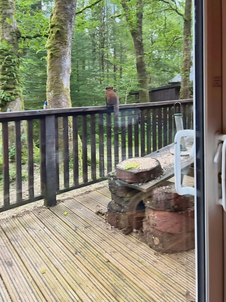 Decking