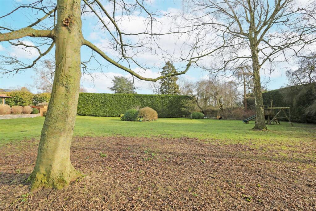Garden.jpg