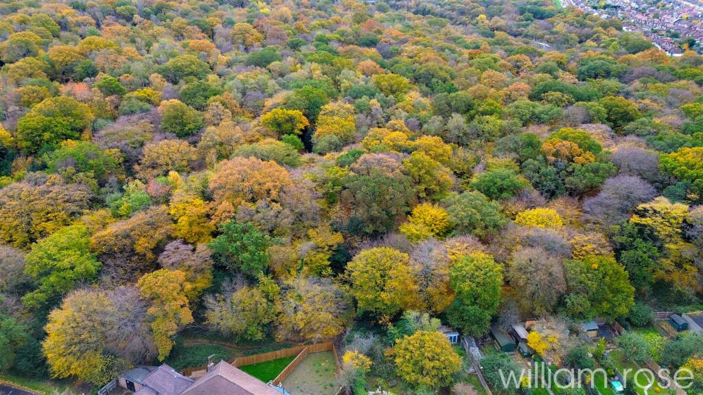 DJI_0075.jpg