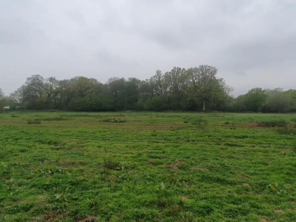 WhatsApp Image 2025-05-05 at 18.31.34 (2).jpeg