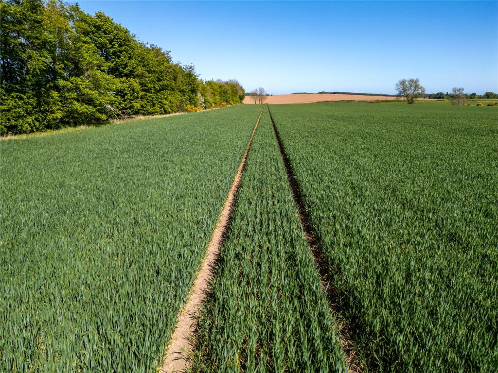 Agricultural Land